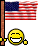 USA flag.gif