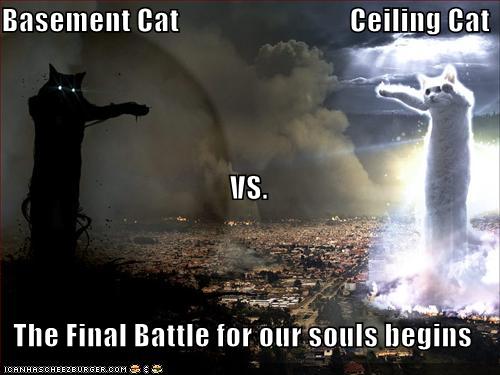 basement-cat-vs-ceiling-cat.jpg